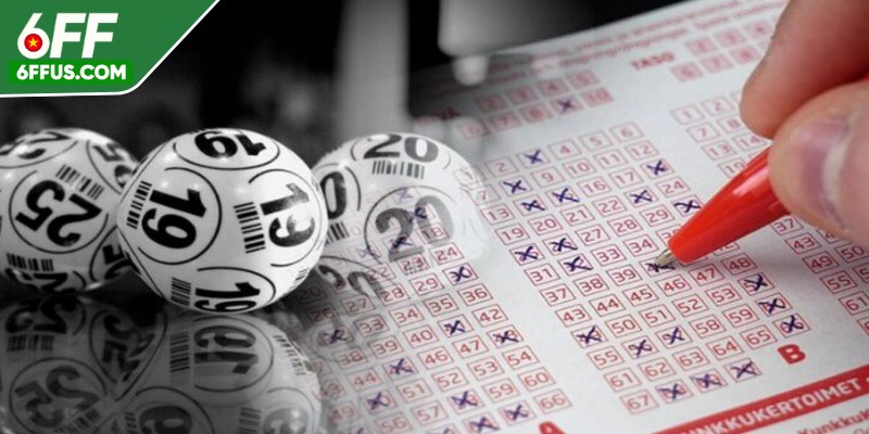 Bật mí các cách nuôi lô khung hiệu quả bạn nên thử