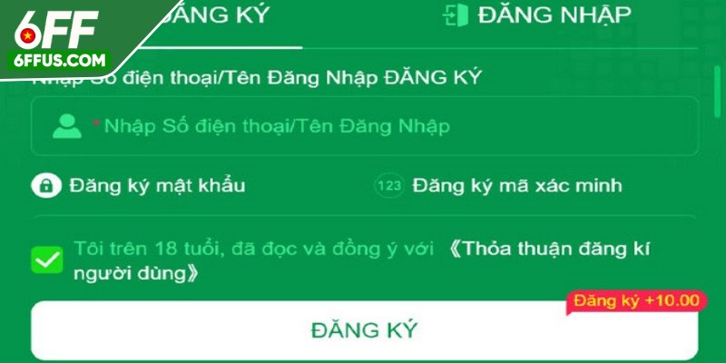 Hướng dẫn từng bước đăng ký 6FF